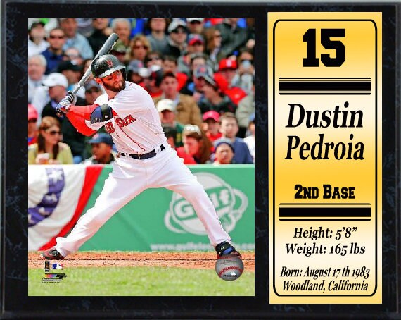 12x15 Stat Plaque - Dustin Pedroia