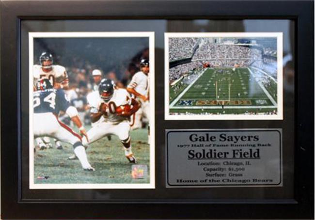 12x18 Photo Stat Frame - Gale Sayers Chicago Bears