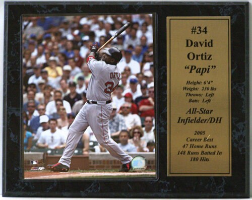 12x15 Stat Plaque - David Ortiz Boston Red Sox