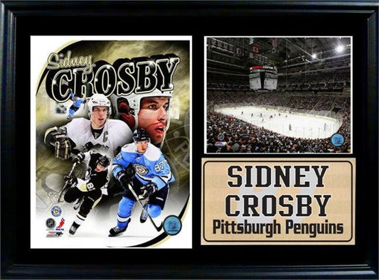 12x18 Photo Stat Frame - Sidney Crosby Pittsburgh Penguins