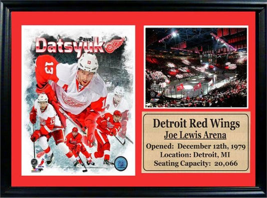 12x18 Photo Stat Frame - Pavel Datsyuk Detroit Red Wings