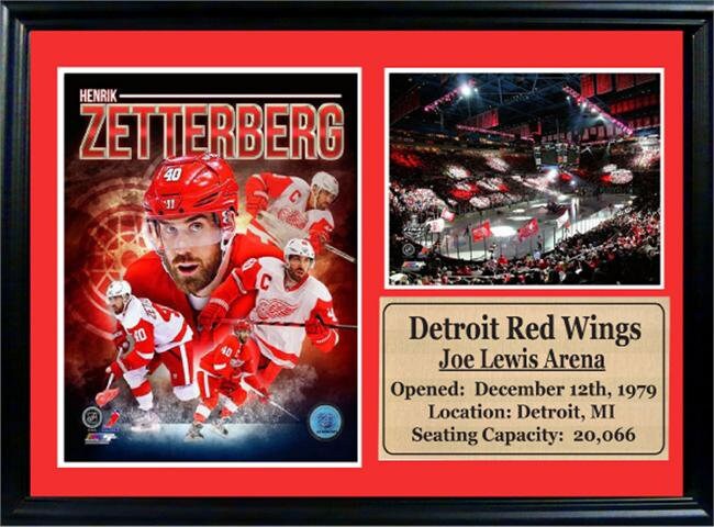 12x18 Photo Stat Frame - Henrik Zetterberg Detroit Red Wings