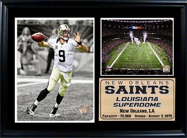 12x18 Photo Stat Frame - Drew Brees New Orleans Saints