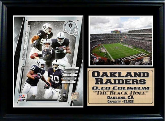 12x18 Photo Stat Frame - 2014 Oakland Raiders