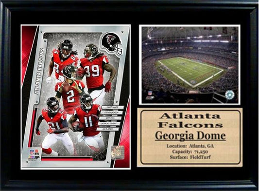 12x18 Photo Stat Frame - 2014 Atlanta Falcons