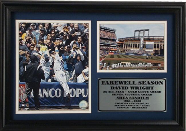 12x18 Photo Stat Frame - David Wright New York Mets