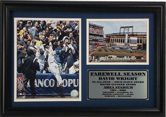 12x18 Photo Stat Frame - David Wright New York Mets