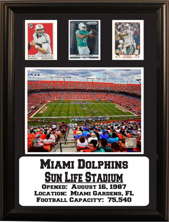 12X18 Three Card Frame - Miami Dolphins