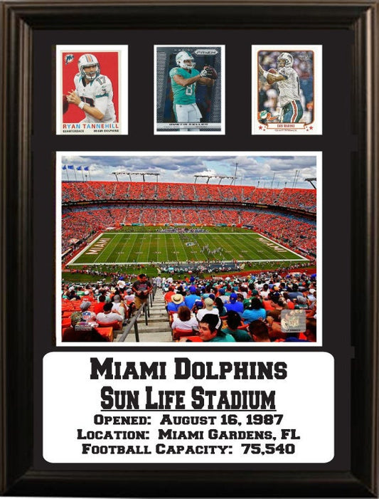 12X18 Three Card Frame - Miami Dolphins