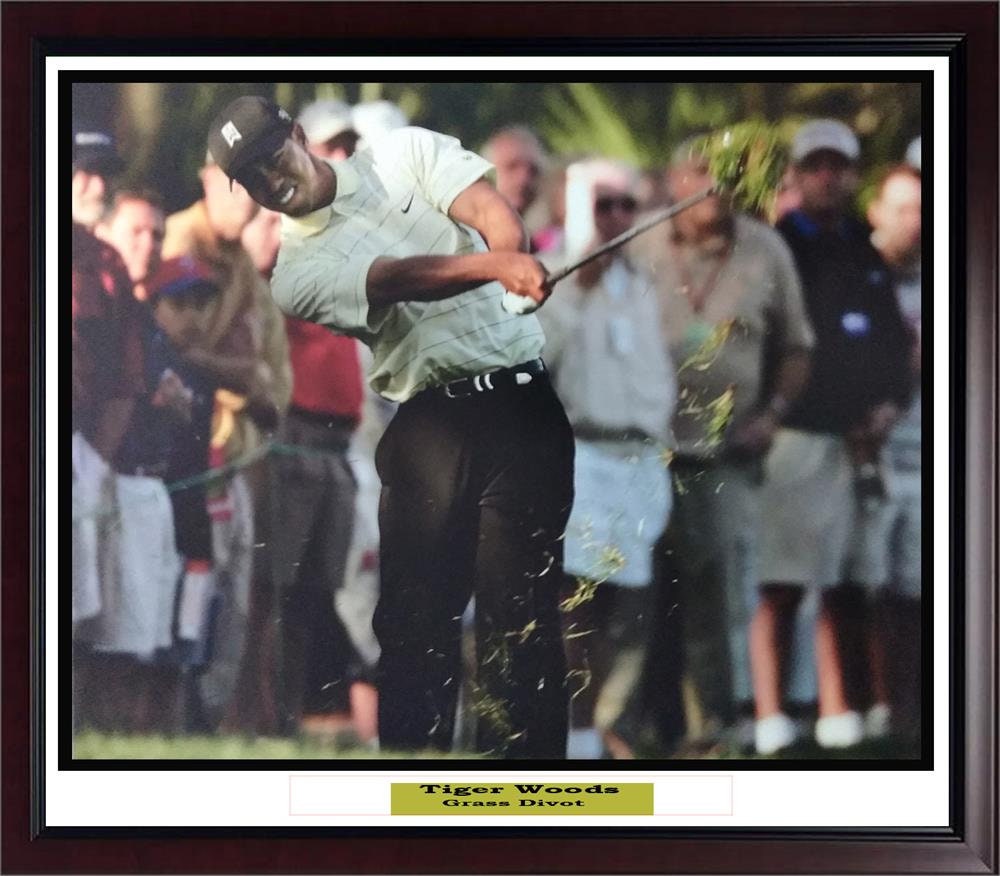 Tiger Woods Divot Photo