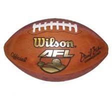 Indoor Arena Game Football by Wilson