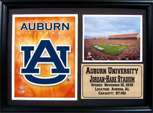 12x18 Photo Stat Frame - Univ of Auburn Champions