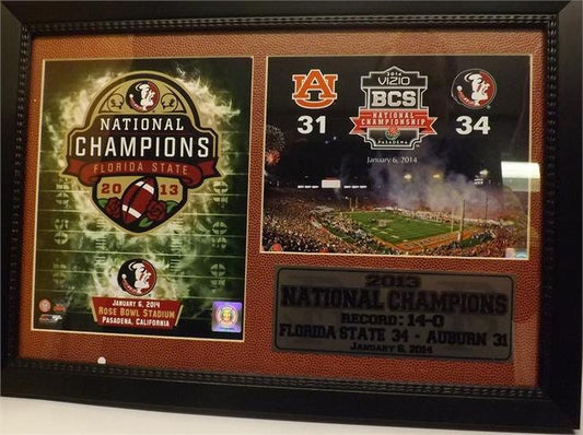 12x18 Photo Stat Frame - Florida State Champions