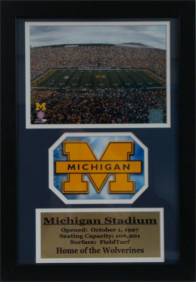 12x18 Custom Frame - Univ of Michigan