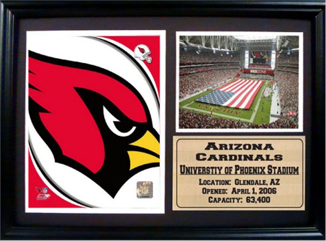 12x18 Photo Stat Frame - Arizona Cardinals