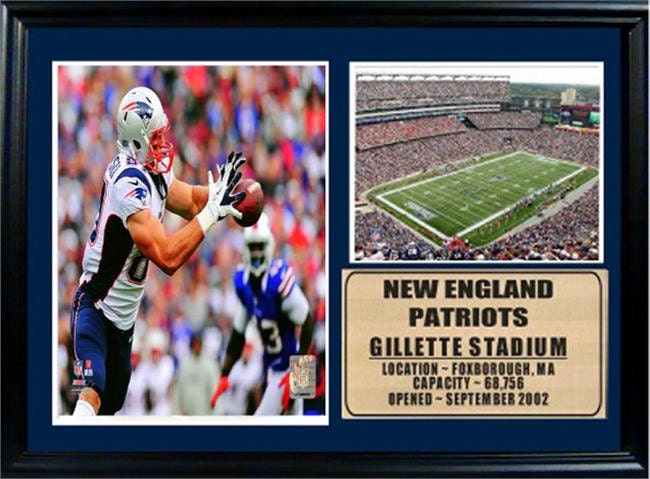 12x18 Photo Stat Frame - Rob Gronkowski New England Patriots