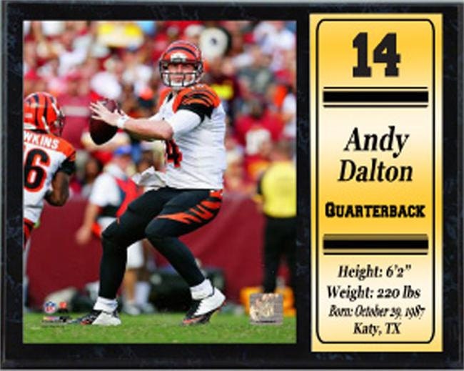 12x15 Stat Plaque - Andy Dalton Cincinnati Bengals