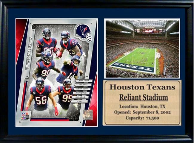 12x18 Photo Stat Frame - 2014 Houston Texans