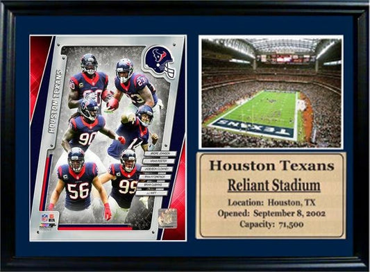 12x18 Photo Stat Frame - 2014 Houston Texans