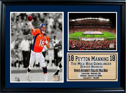 12x18 Photo Stat Frame - Peyton Manning Denver Broncos