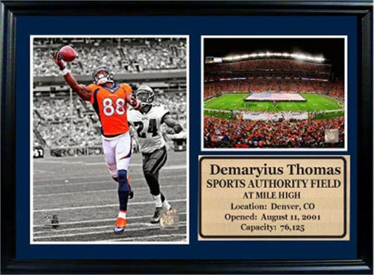 12x18 Photo Stat Frame - Demaryius Thomas Denver Broncos
